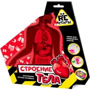 Научно-познавательный набор «Строение тела», модели «Re-Агенты»