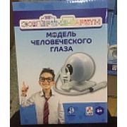 ЭКСПЕРИМЕНТАРИУМ «Модель глаза»