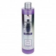 Lukky Style&Smile Шампунь для волос «ФиаLatte» с эффектом ламинирования, 350 мл